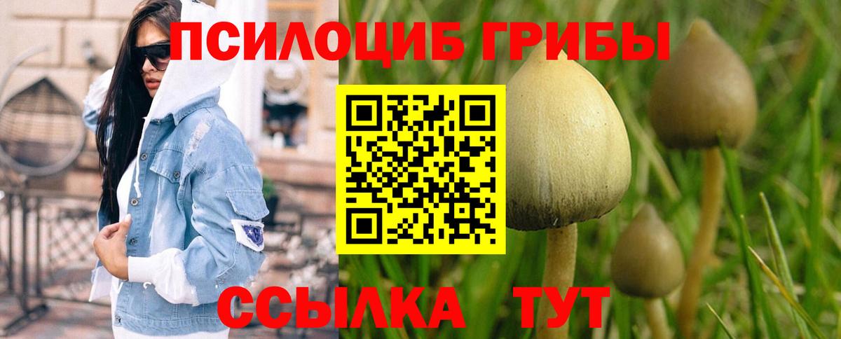 Дубна  Псилоцибиновые грибы ЛСД  Вход с VPN 